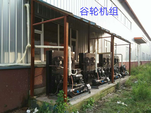案例展示 