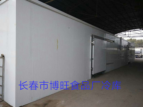 案例展示 